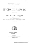 Apuntes de alegato en el juicio de amparo /