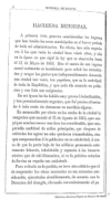 Memoria de los ramos municipales correspondiente al semestre de 1? de enero a 20 de junio de 1867 q